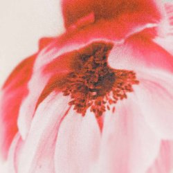 Du milde viscose kjole str Xl  (20)