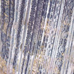 Johanne Rubinstein, Model anja K., L (20)