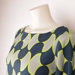 Swimming Around duAlberta NY str S (35)